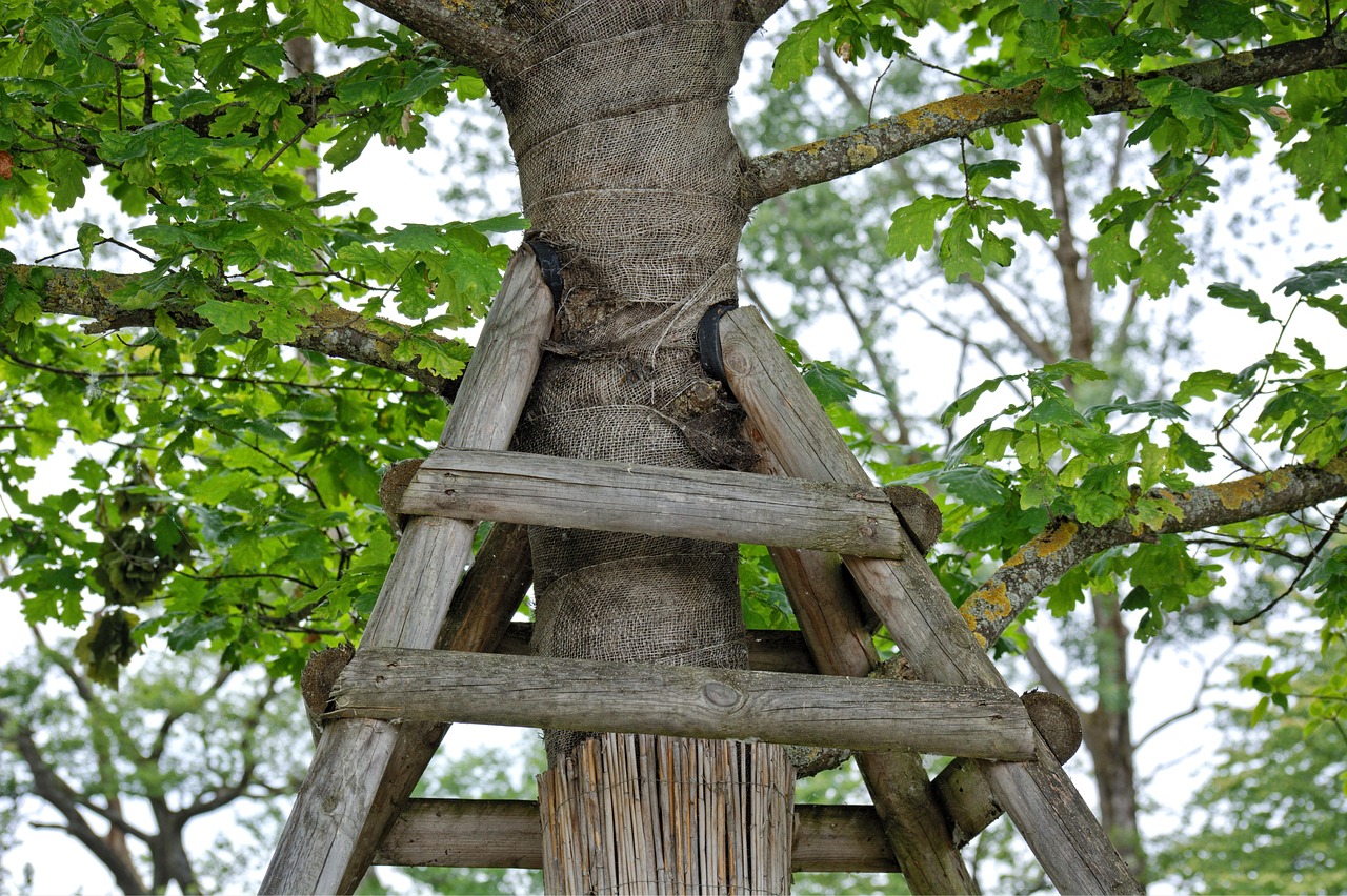 今すぐ行動を起こそう！